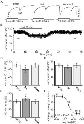 Effect of Noradrenaline on the Facial Stimulation-Evoked Mossy Fiber-Granule Cell Synaptic Transmission in Mouse Cerebellar Cortex